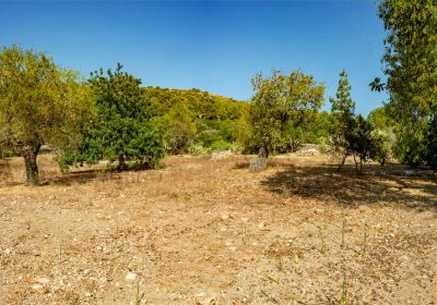 Beautiful finca in quite location.