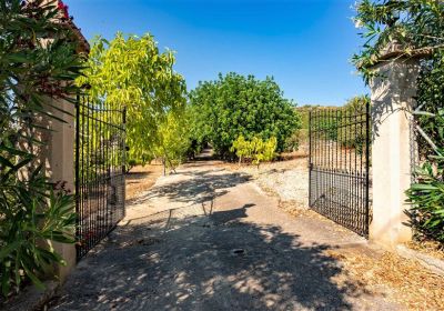Beautiful finca in quite location.